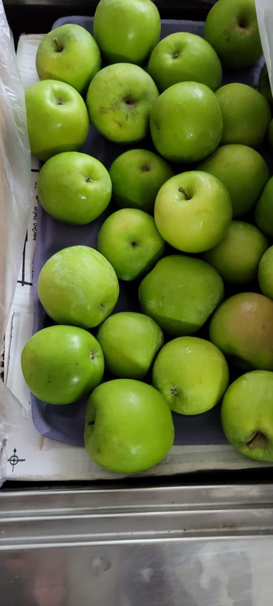 Green and red apple (3-4 pack)