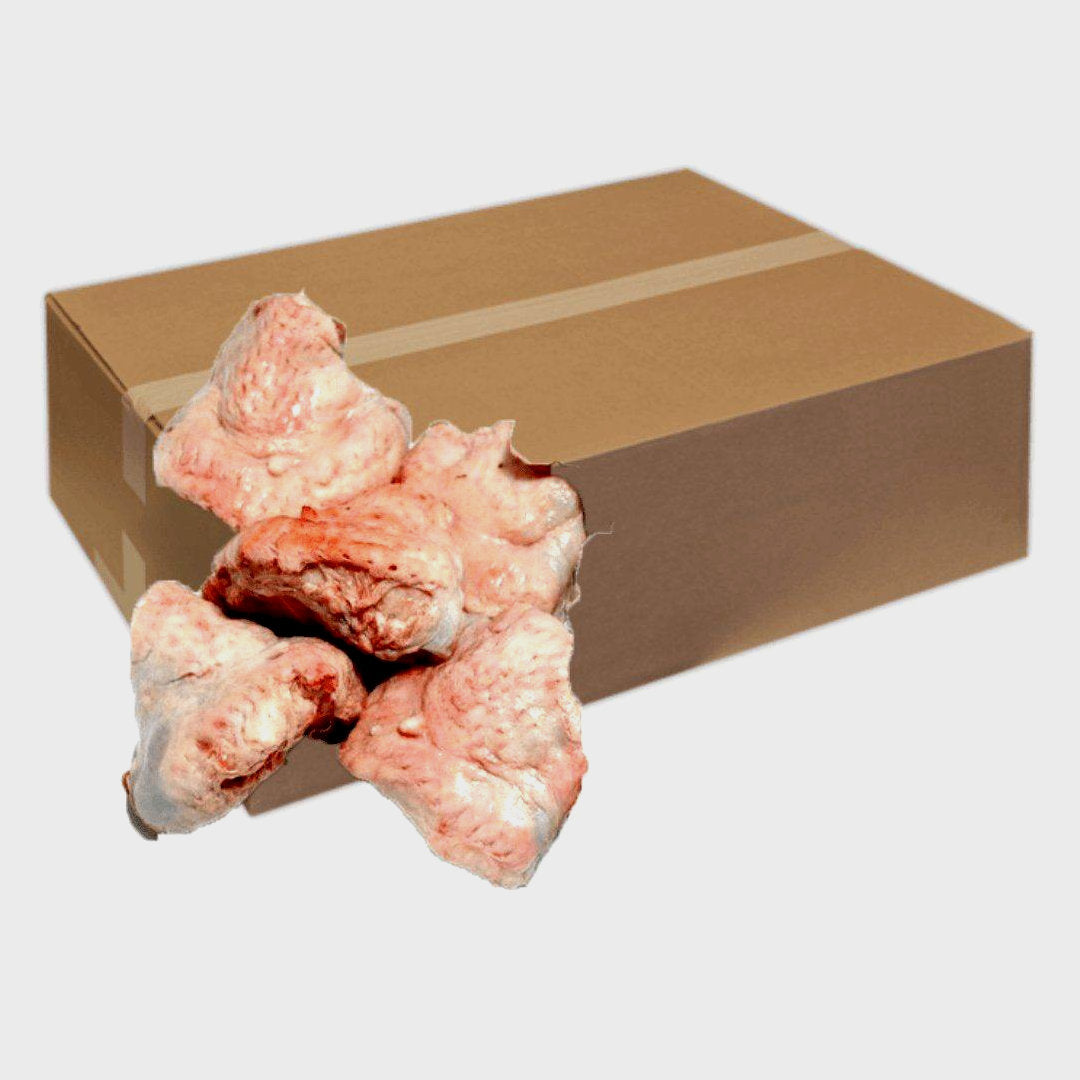 Puha muii pipi (turkey tail) kilo 13 kilo