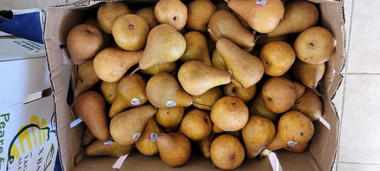 Brown Pears