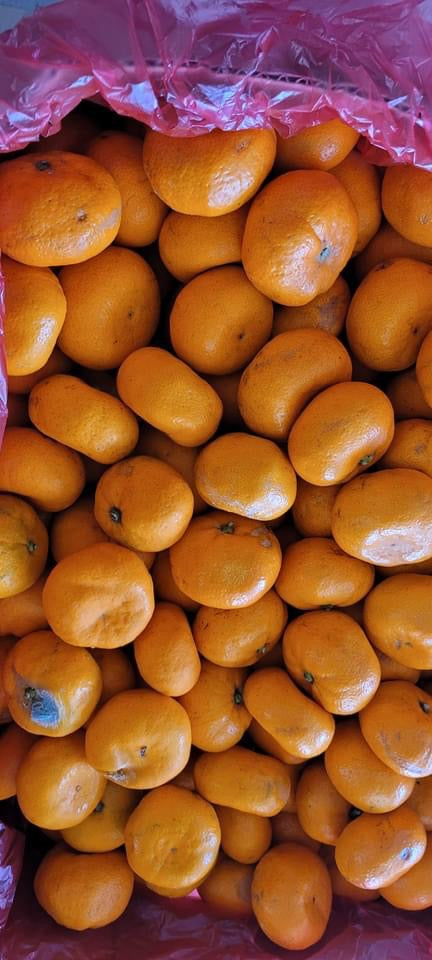 Mandarine Orange (moli)